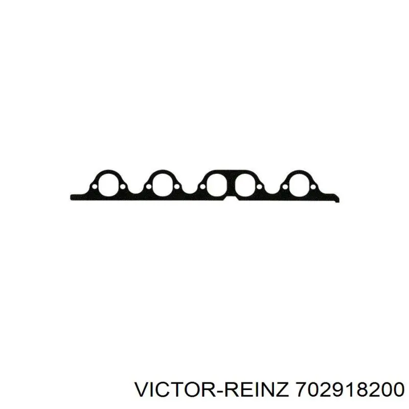 702918200 Victor Reinz