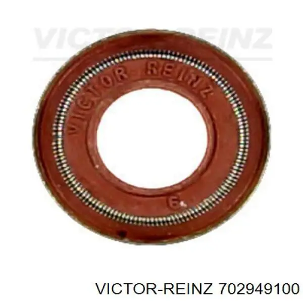 70-29491-00 Victor Reinz sello de aceite de valvula (rascador de aceite Entrada/Salida)
