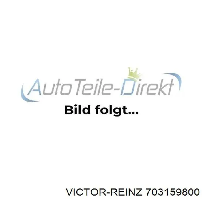 Arandela de asiento del inyector Victor Reinz 703159800 precio, desde 2,87 EUR