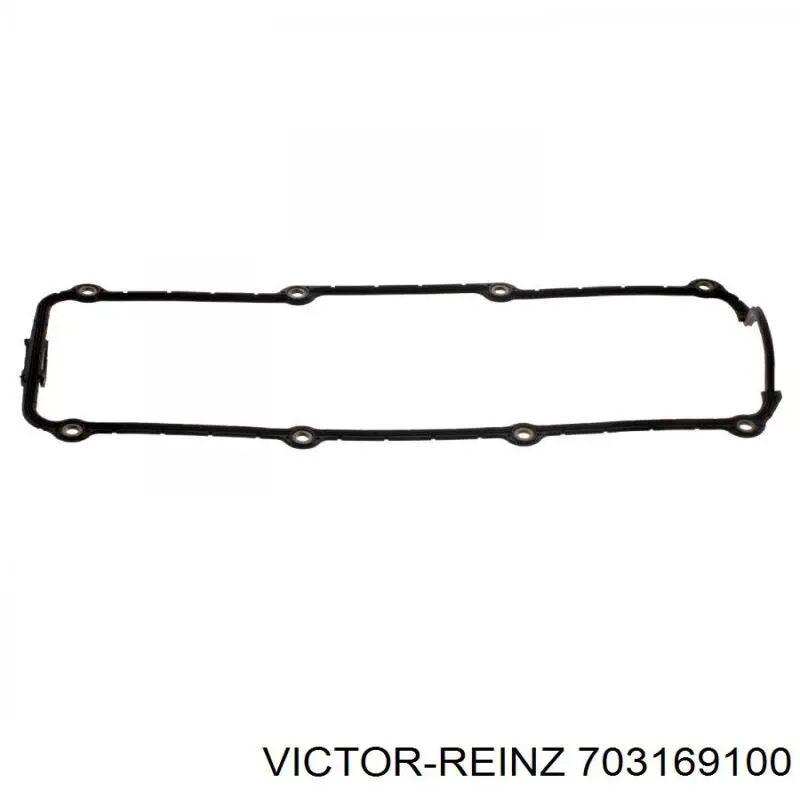 703169100 Victor Reinz junta de la tapa de válvulas del motor