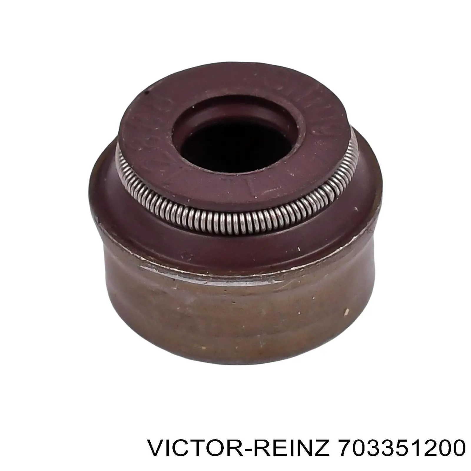 70-33512-00 Victor Reinz sello de aceite de valvula (rascador de aceite Entrada/Salida)