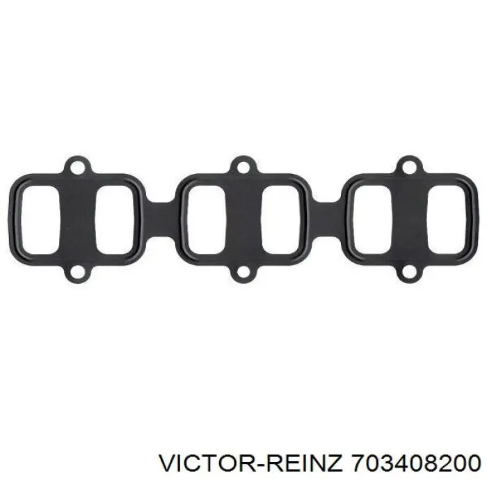 703408200 Victor Reinz