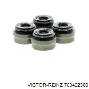 Retenes de válvulas Victor Reinz 703422300 precio, desde 1,94 EUR