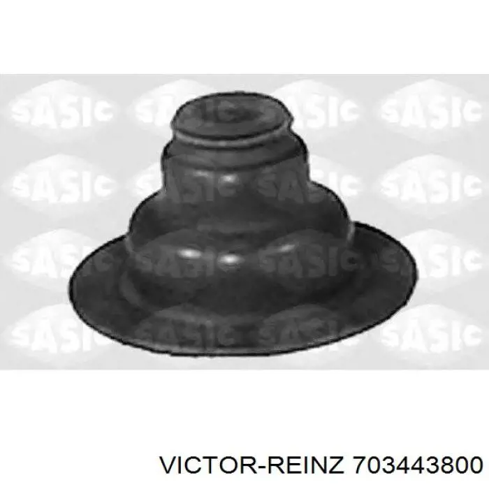 70-34438-00 Victor Reinz sello de aceite de valvula (rascador de aceite Entrada/Salida)