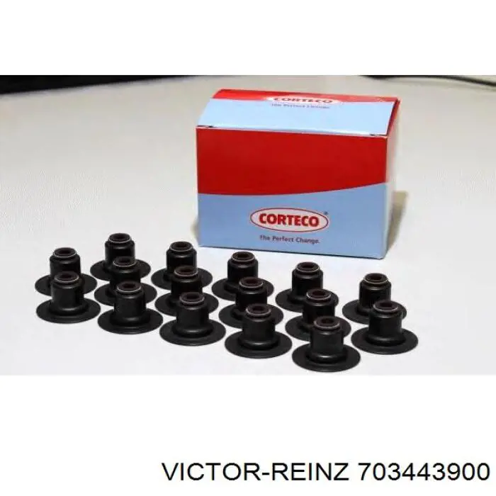 70-34439-00 Victor Reinz sello de aceite de valvula (rascador de aceite Entrada/Salida)