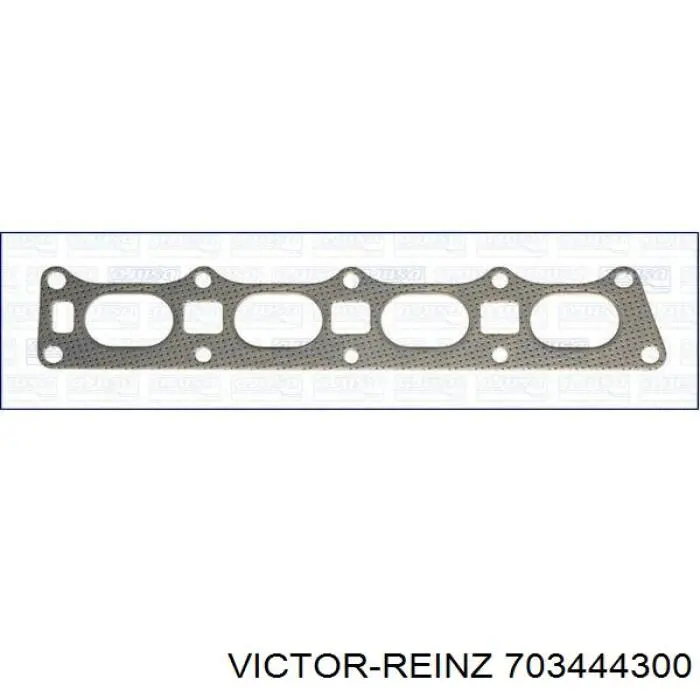 703444300 Victor Reinz