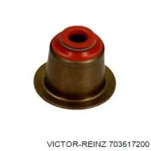 Comprar 703517200 Victor Reinz Sello De Aceite De Valvula (Rascador De Aceite) Entrada/Salida