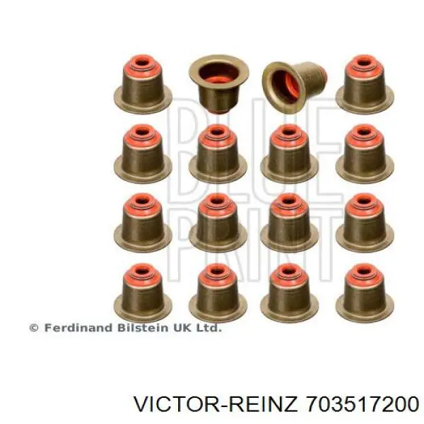70-35172-00 Victor Reinz sello de aceite de valvula (rascador de aceite Entrada/Salida)