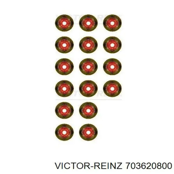 70-36208-00 Victor Reinz sello de aceite de valvula (rascador de aceite Entrada/Salida)