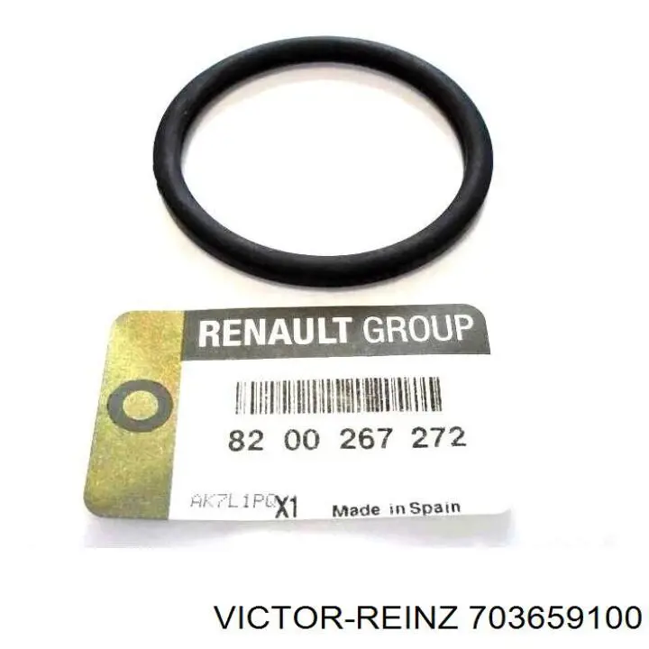 703659100 Victor Reinz Junta termostato