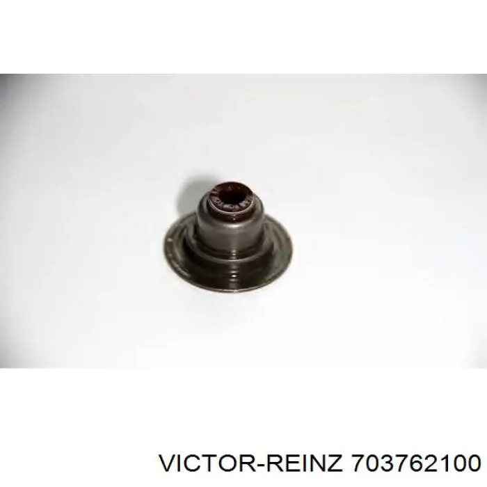 70-37621-00 Victor Reinz sello de aceite de valvula (rascador de aceite Entrada/Salida)