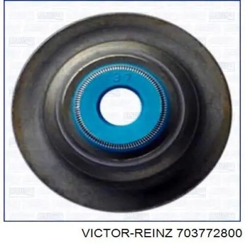 70-37728-00 Victor Reinz sello de aceite de valvula (rascador de aceite Entrada/Salida)