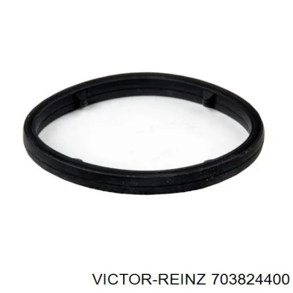703824400 Victor Reinz