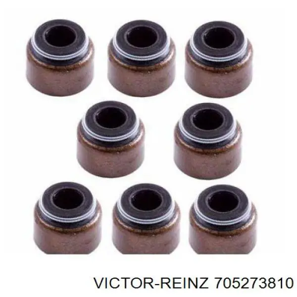 70-52738-10 Victor Reinz sello de aceite de valvula (rascador de aceite Entrada/Salida)