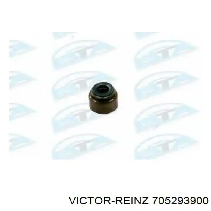 70-52939-00 Victor Reinz sello de aceite de valvula (rascador de aceite Entrada/Salida)