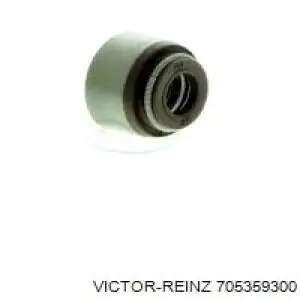 705359300 Victor Reinz Retén de válvula de admisión