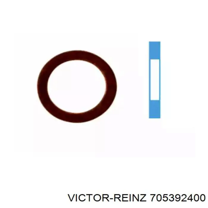 705392400 Victor Reinz sello de aceite de valvula (rascador de aceite Entrada/Salida)