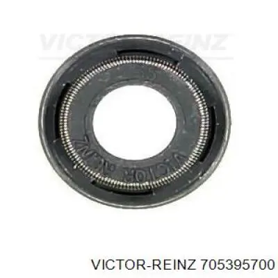 Retenes de válvulas Victor Reinz 705395700 precio, desde 2,37 EUR