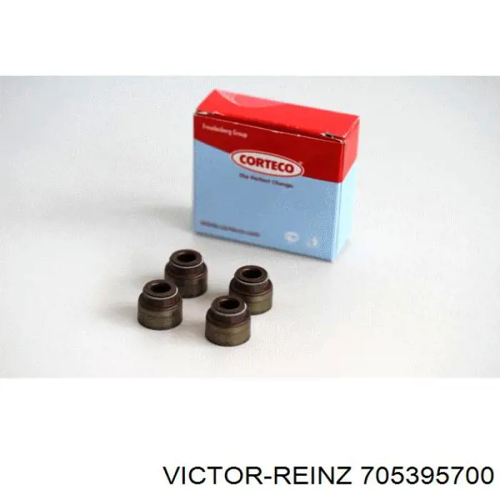 70-53957-00 Victor Reinz sello de aceite de valvula (rascador de aceite Entrada/Salida)