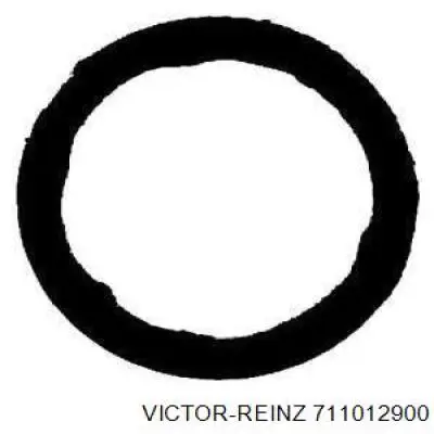 Junta colector escape Victor Reinz 711012900 precio, desde 6,70 EUR
