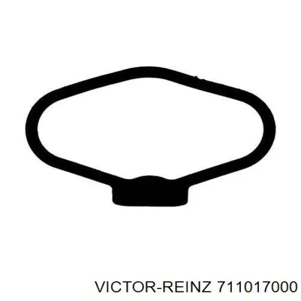 71-10170-00 Victor Reinz junta, tapa de culata de cilindro, anillo de junta