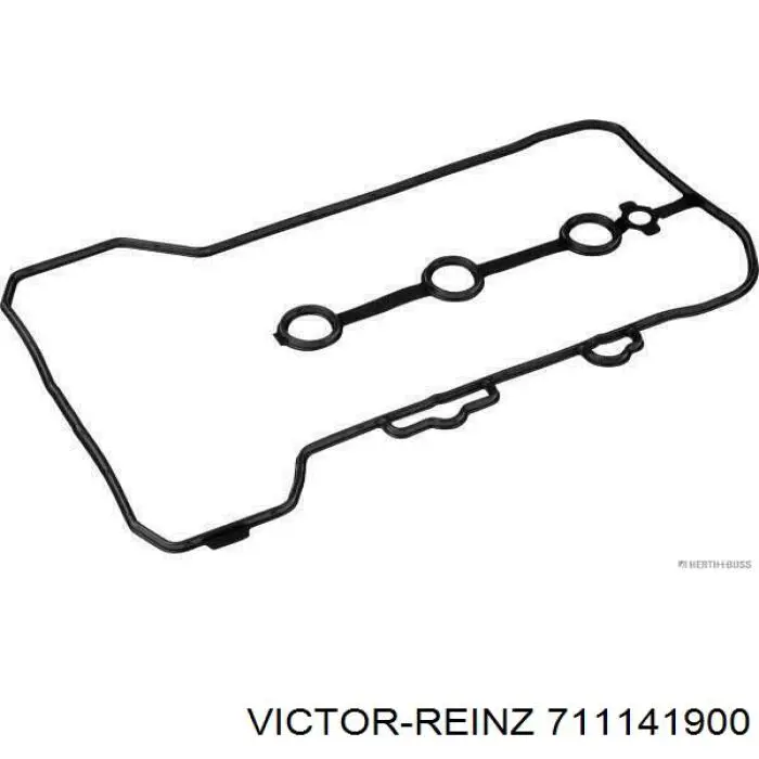 711141900 Victor Reinz