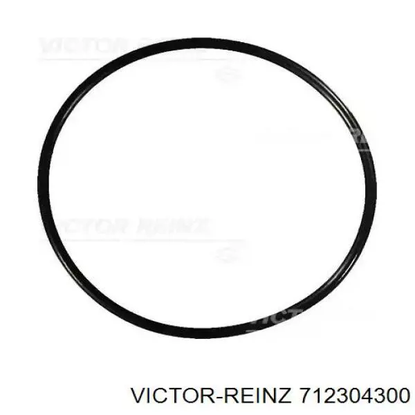 712304300 Victor Reinz Junta de balancínes