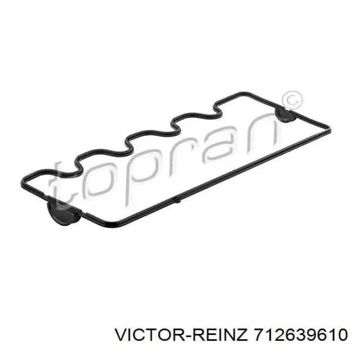 712639610 Victor Reinz Junta de balancínes