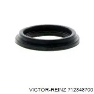 712848700 Victor Reinz junta anular, cavidad bujía