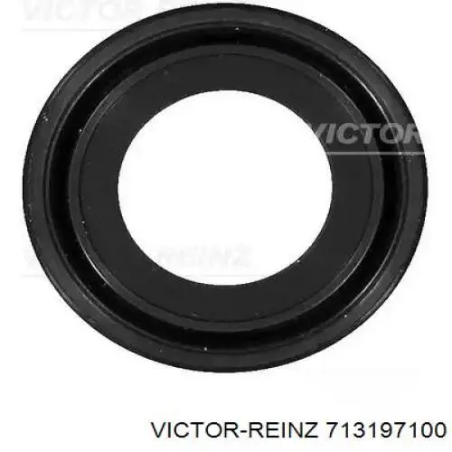 Junta colector escape Victor Reinz 713197100 precio, desde 10,18 EUR