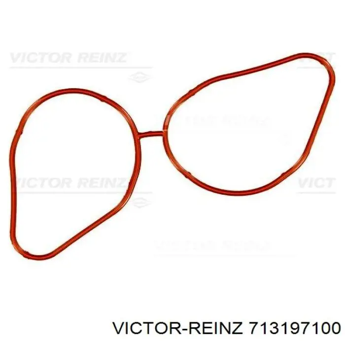 Comprar 713197100 Victor Reinz Junta colector escape