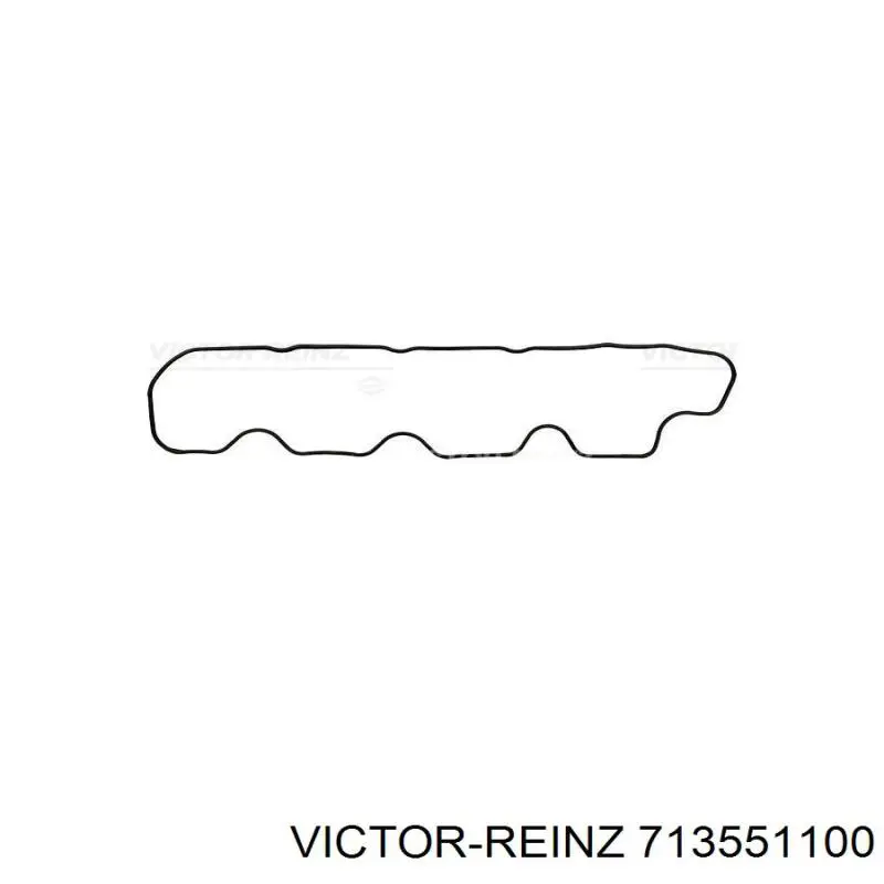 713551100 Victor Reinz junta de la tapa de válvulas del motor