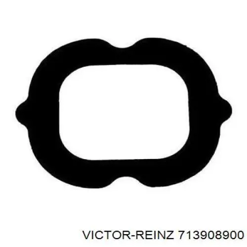 713908900 Victor Reinz