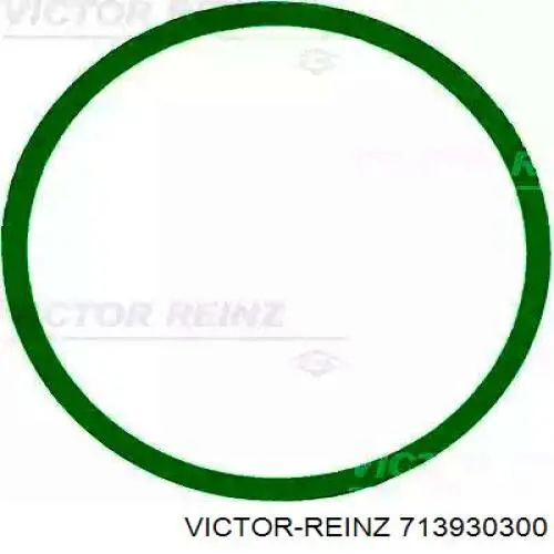 Comprar 713930300 Victor Reinz Junta de colector de admisión