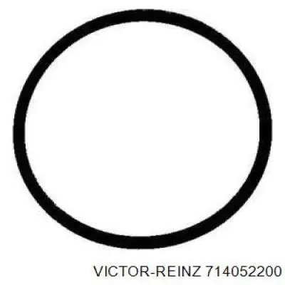 71-40522-00 Victor Reinz junta, colector de admisión