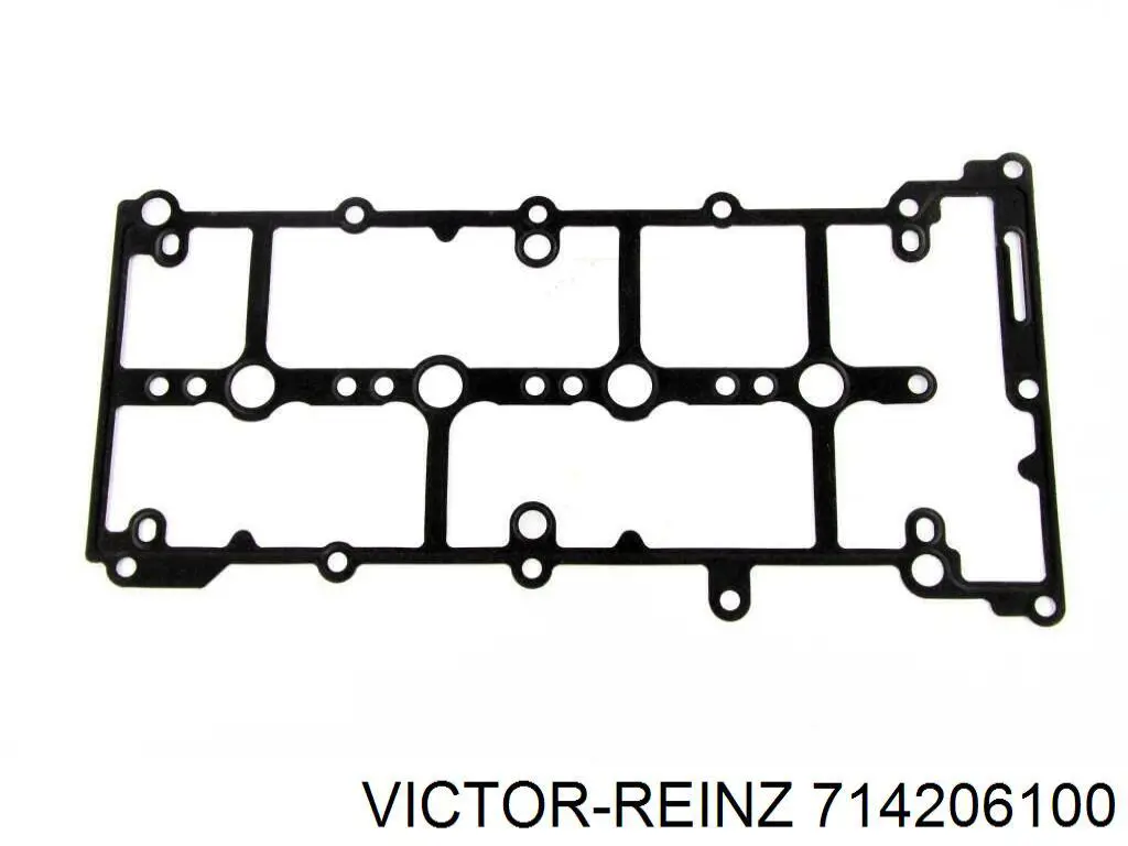 71-42061-00 Victor Reinz junta de la tapa de válvulas del motor