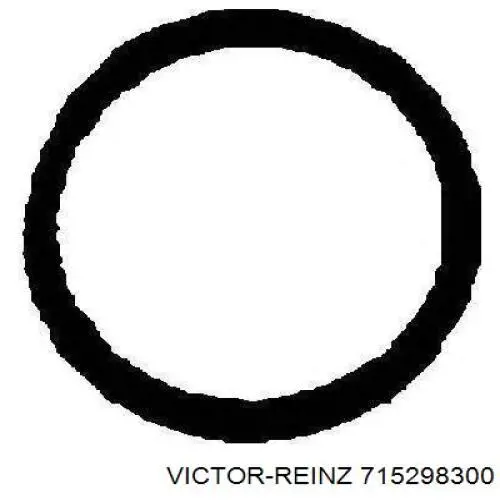 715298300 Victor Reinz junta, tubo de escape silenciador