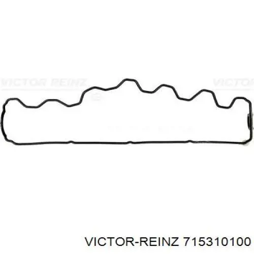 71-53101-00 Victor Reinz junta de la tapa de válvulas del motor