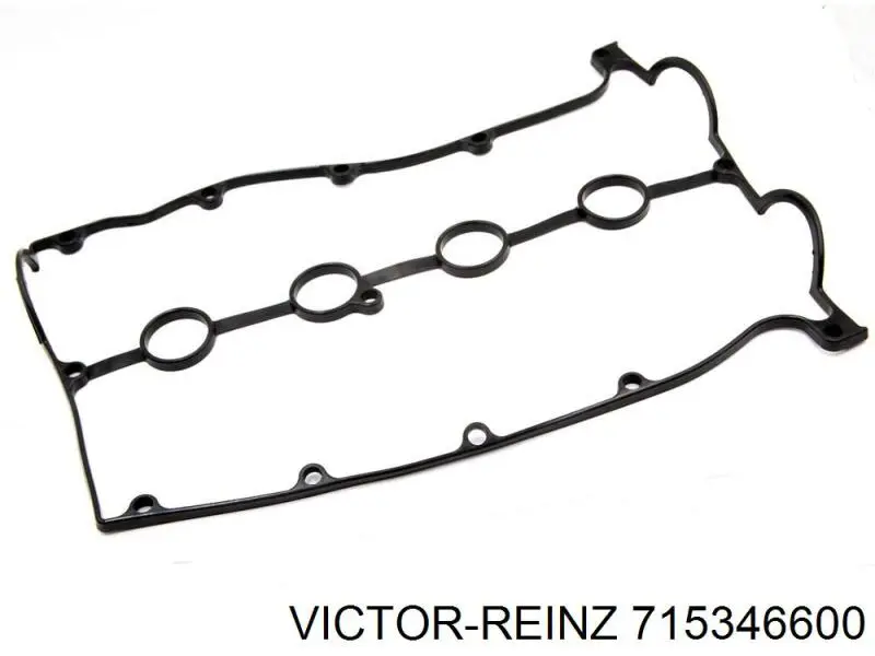 715346600 Victor Reinz Junta de balancínes