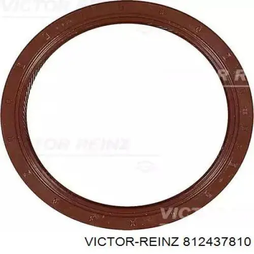 81-24378-10 Victor Reinz anillo retén, cigüeñal