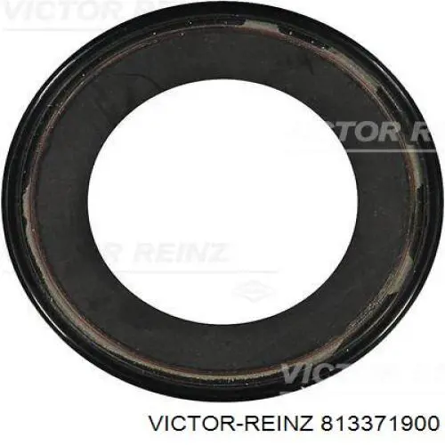 813371900 Victor Reinz anillo retén, diferencial eje trasero