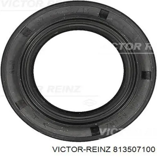 81-35071-00 Victor Reinz anillo retén, diferencial trasero