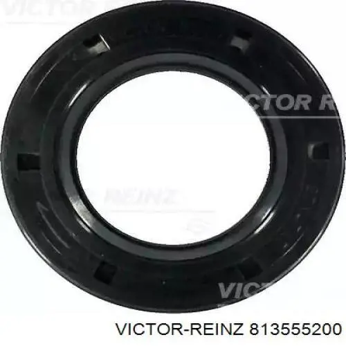 Retén del árbol de levas Victor Reinz 813555200 precio, desde 14,37 EUR