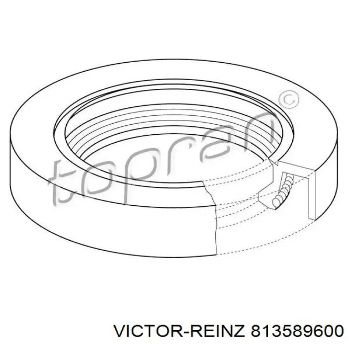 Comprar 813589600 Victor Reinz Retén, árbol de levas