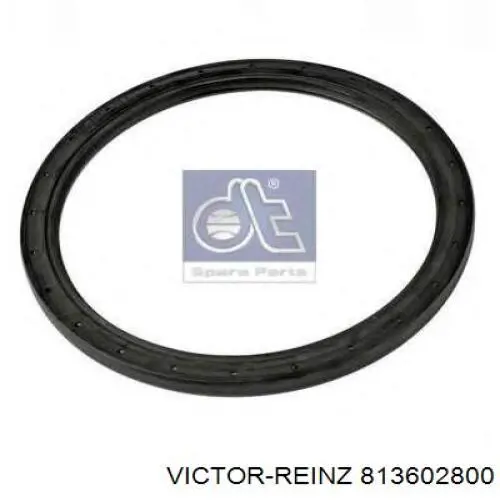 81-36028-00 Victor Reinz anillo retén, cigüeñal