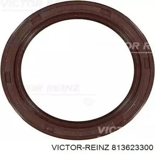 Comprar 813623300 Victor Reinz Retén de cigüeñal frontal