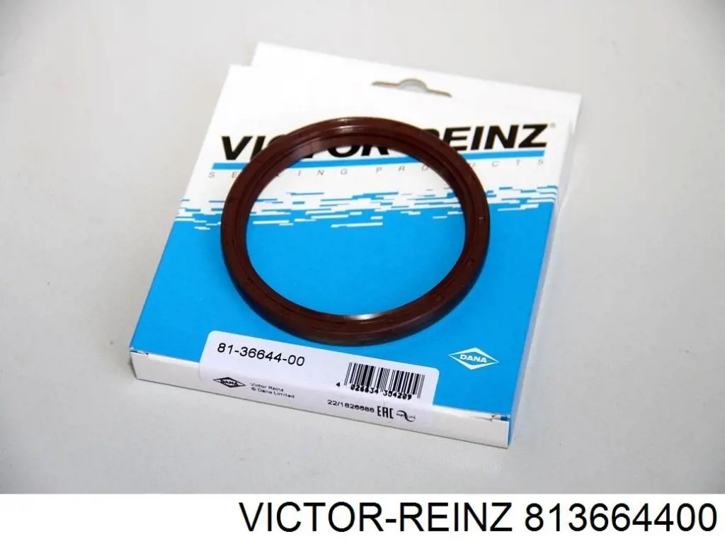 Anillo retén, cigüeñal Fiat 500 312