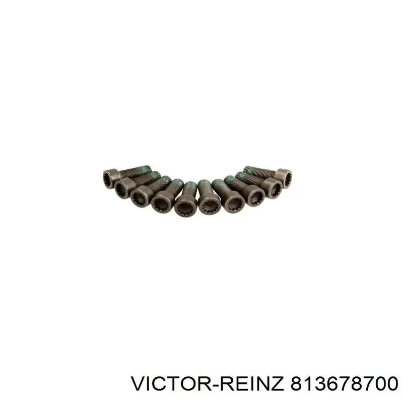 81-36787-00 Victor Reinz anillo retén, cigüeñal frontal