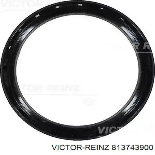 Retén del cigüeñal Victor Reinz 813743900 precio, desde 25,98 EUR
