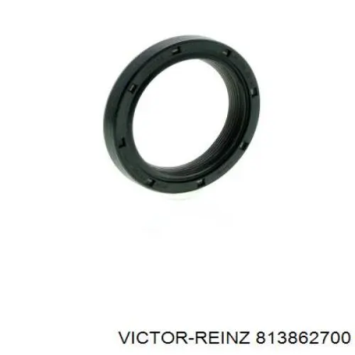 Retén del árbol de levas Victor Reinz 813862700 precio, desde 15,03 EUR